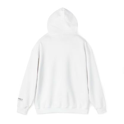 HOME VIDEO STREAMING - Unisex Heavy Blend Hoodie | CINEMA CLUB by Threz_