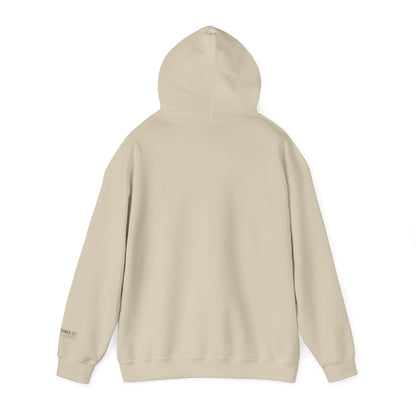 HOME VIDEO STREAMING - Unisex Heavy Blend Hoodie | CINEMA CLUB by Threz_