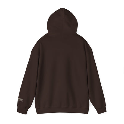 HOME VIDEO STREAMING - Unisex Heavy Blend Hoodie | CINEMA CLUB by Threz_