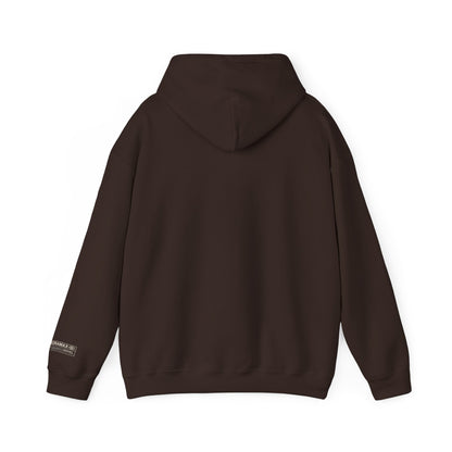 HOME VIDEO STREAMING - Unisex Heavy Blend Hoodie | CINEMA CLUB by Threz_