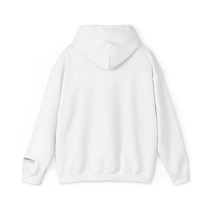 HOME VIDEO STREAMING - Unisex Heavy Blend Hoodie | CINEMA CLUB by Threz_